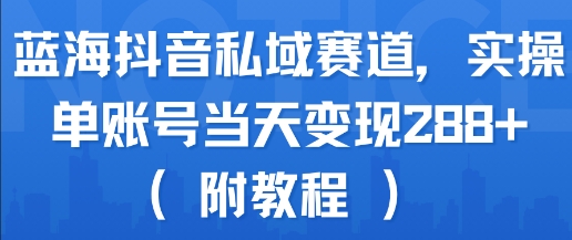 蓝海抖音私域赛道，实操单账号当天变现288+(附教程)-飞哥项目网