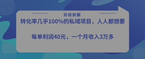 转化率最高的私域项目，每单利润40-50米，月入过1w-飞哥项目网