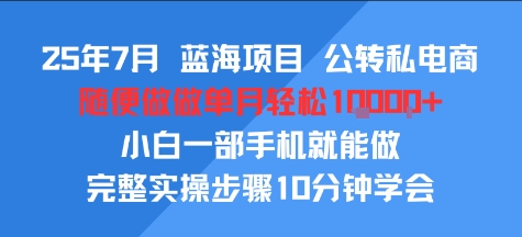 25年7月蓝海项目，公转私电商，随便做做单月轻松1w，小白一部手机就能做，完整实操步骤10分钟学会-飞哥项目网