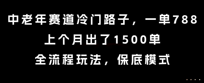 中老年赛道冷门路子，一单788，上个月出了1500单，全流程玩法，保底模式-飞哥项目网