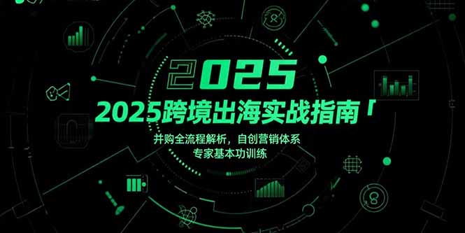 2025跨境出海实战指南，并购全流程解析，自创营销体系，专家基本功训练-飞哥项目网