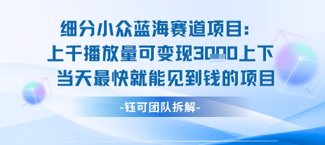 小众蓝海赛道项目：当天变现1k+适合新手操作 +适合长期玩-飞哥项目网