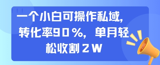 一个小白可操作私域，转化率90%，单月轻松收割2W-飞哥项目网