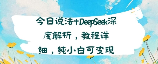 今日说法+DeepSeek深度解析，教程详细，纯小白可变现-飞哥项目网