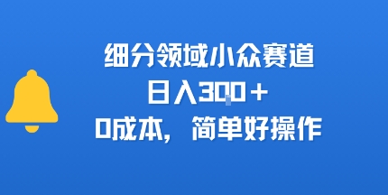 细分领域小众赛道，日入300+，0成本，简单好操作-飞哥项目网