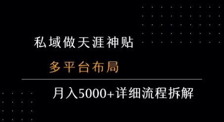 私域做天涯神贴 多平台布局 月入5000+详细流程拆解-飞哥项目网