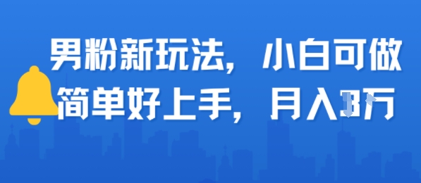 男粉新玩法，小白可做，简单好上手，月入1w-飞哥项目网