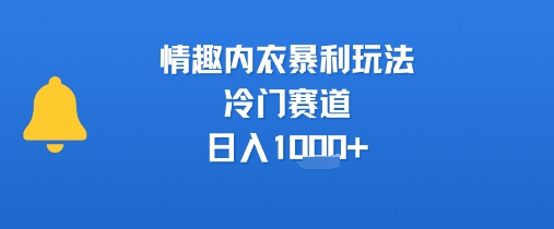 情趣内衣暴利玩法，冷门赛道，日入1k+-飞哥项目网