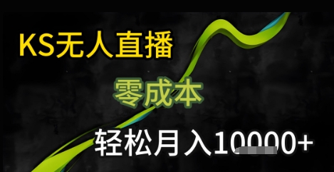 快手无人直播25年最新玩法，只需一部手机，轻松月入1W+-飞哥项目网