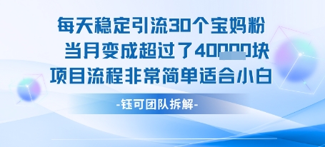 每天稳定引流30个人 当月变成超过了4个W 项目流程非常简单 适合小白-飞哥项目网