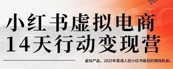 小红书虚拟电商14天变现训练营，虚拟产品，2025年普通人在小红书最后的搞钱机会-飞哥项目网