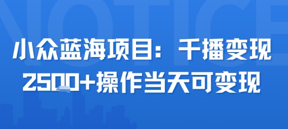 小众蓝海项目，千播变现2500+，操作当天可变现-飞哥项目网