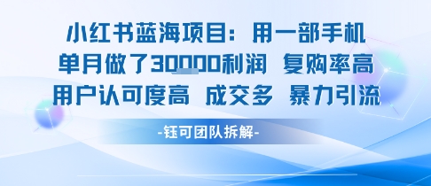 小红书蓝海项目，一部手机单月做了3W利润，小白也能月入过1W用户认可度高成交多-飞哥项目网