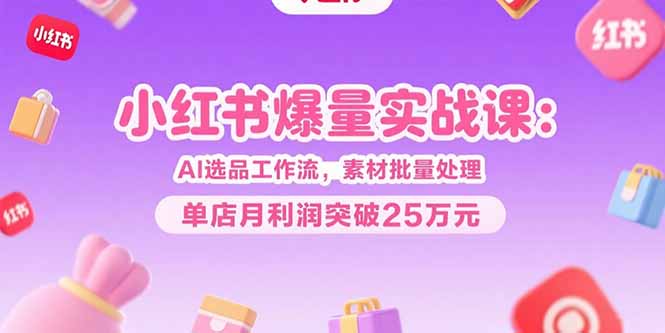 小红书爆量实战课：AI选品工作流，素材批量处理，单店月利润突破25万元-飞哥项目网