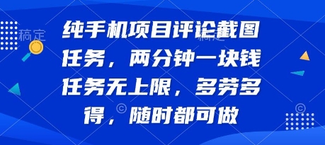 纯手机项目评论截图任务，两分钟一块钱 任务无上限多劳多得，随时随地都能做-飞哥项目网