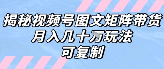 解密视频号图文矩阵带货，月入几个W的打法，可复制-飞哥项目网