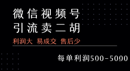 视频号卖二胡教程，利润大 易成交 售后少，一单利润500+-飞哥项目网