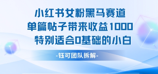 小红书女粉黑马赛道单篇帖子带来收益1k+，特别适合0基础的小白-飞哥项目网