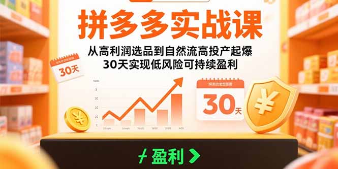 拼多多实战课：从高利润选品到自然流高投产起爆 30天实现低风险可持续盈利-飞哥项目网