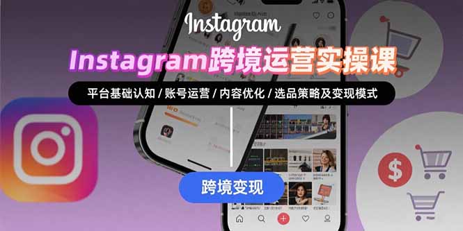Instagram跨境运营实战：平台认知/账号运营/内容优化/选品策略及变现模式-飞哥项目网