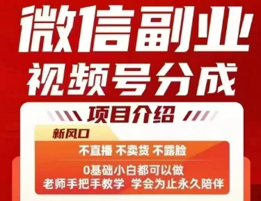 微信副业视频号分成，不直播 不卖货 不露脸，三五分钟即可完成一条作，每日收益几十、几张不等-飞哥项目网