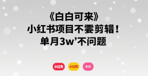 小白可来 小红书项目不需要剪辑 单月3w不是问题-飞哥项目网