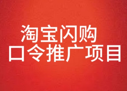 淘宝闪购口令推广项目，收益可观，一部手机，一个抖音号即可操作-飞哥项目网