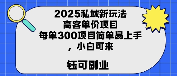 2025私域新玩法高客单价，每单3张操作简单，小白可轻松上手-飞哥项目网