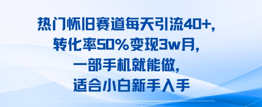 热门怀旧赛道每天引流40+，转化率50%月变现3w，一部手机就能做，适合小白新手入手-飞哥项目网