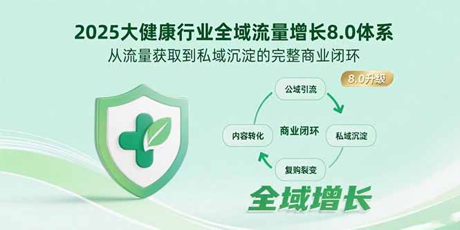 2025大健康行业全域流量增长8.0体系，从流量获取到私域沉淀的完整商业闭环-飞哥项目网