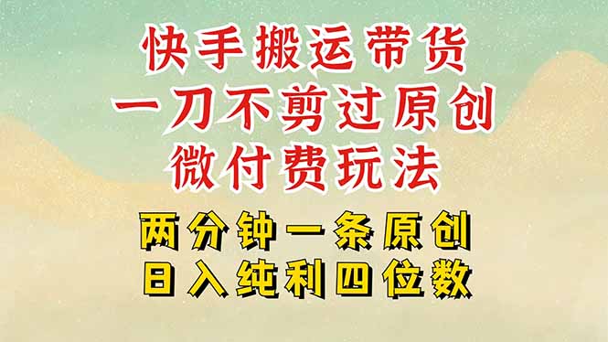 快手黑科技搬运带货，一刀不剪过原创，微付费投流玩法，轻松日入四位数-飞哥项目网
