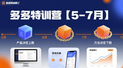 多多特训营【5-7月】产品决定上限，方法决定下限，各种玩法技巧落地实操-飞哥项目网