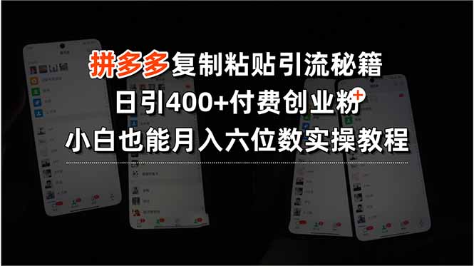 拼多多复制粘贴引流秘籍，日引400+付费创业粉，小白也能月入六位数实操教程-飞哥项目网