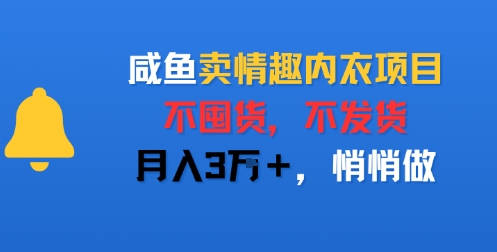 闲鱼卖情趣内衣项目，不囤货，不发货，月入3W+，悄悄做-飞哥项目网