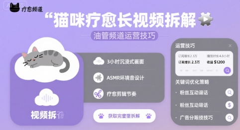 猫咪疗愈长视频拆解 &油管频道运营技巧-飞哥项目网