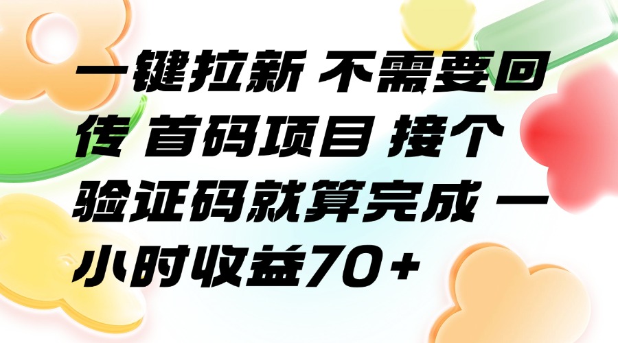 一键拉新 不需要回传 首码项目 接个验证码就算完成 一小时收益70+-飞哥项目网