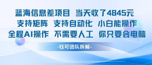蓝海信息差项目当天收米1k+ 支持矩阵支持自动化小白能操作全程AI操作不需要人工你只要会电脑-飞哥项目网