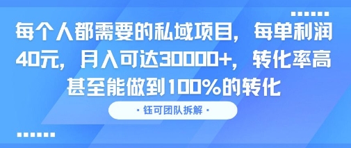 每个人都需要的私域项目，每单利润40米，月入可达3W+，转化率高 甚至能做到100%的转化-飞哥项目网