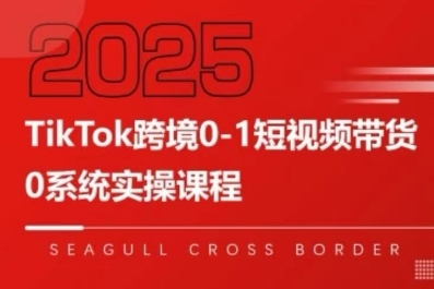 TikTok跨境0-1短视频带货，系统拆解TikTok跨境带货全链路，实现跨境可持续盈利-飞哥项目网