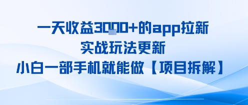 一天收益1k+的app拉新，实战玩法更新，小白一部手机就能做【项目拆解】-飞哥项目网