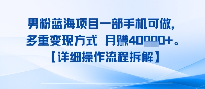 8月新男粉蓝海项目一部手机可做，多重变现方式 月入4W+【详细操作流程拆解】-飞哥项目网