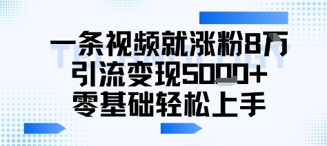 一条视频就涨粉8W引流变现5k+，0基础项目轻松上手-飞哥项目网