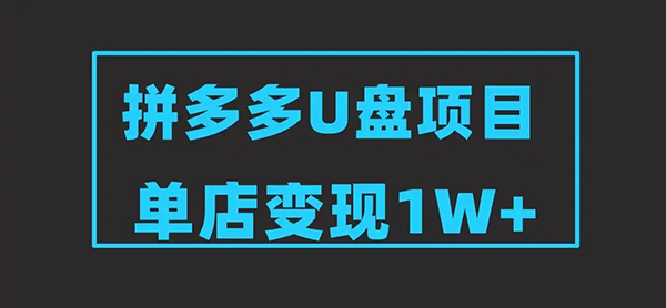 2025版拼多多冷门虚拟U盘项目玩法，单店铺月变现1w+，稳赚不赔！-飞哥项目网