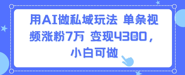 用AI做私域玩法，单条视频涨粉7W变现4.3k，小白可做-飞哥项目网
