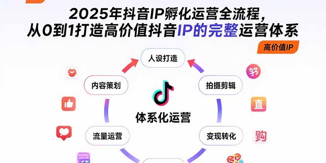 2025年抖音IP孵化运营全流程，从0到1打造高价值抖音IP的完整运营体系-飞哥项目网
